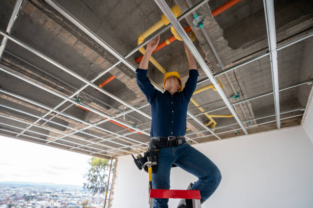 Best Plumbing Services Near Me  in Mason Neck, VA