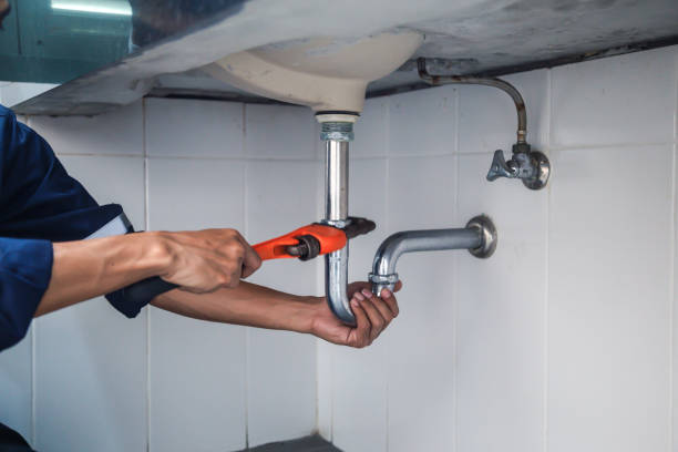 Best Plumbing Services Near Me  in Mason Neck, VA